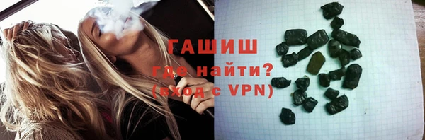 ПСИЛОЦИБИНОВЫЕ ГРИБЫ Новозыбков