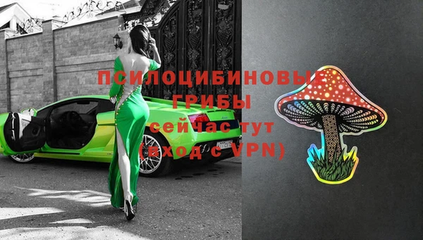 трава Новокубанск