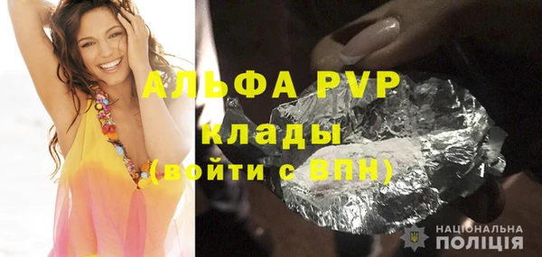 ПСИЛОЦИБИНОВЫЕ ГРИБЫ Новозыбков