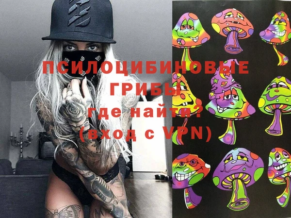 ПСИЛОЦИБИНОВЫЕ ГРИБЫ Новозыбков