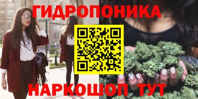 скорость Будённовск