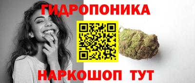 скорость Будённовск