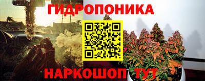 скорость Будённовск